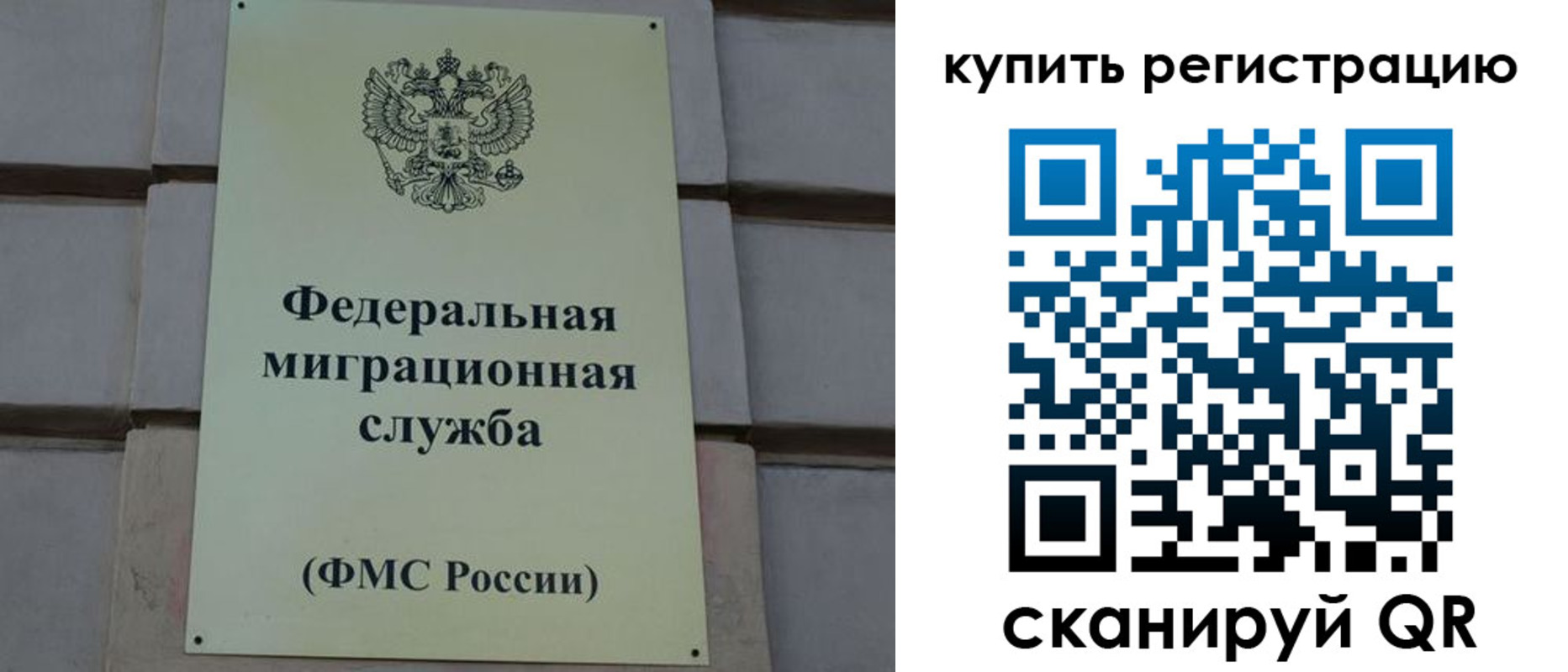 прописка регистрация в Димитровграде